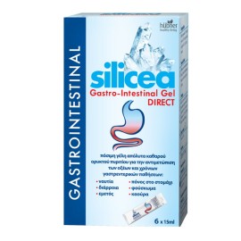 Hubner Silicea Gastro-Intestinal Gel Direct 6X15ml