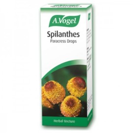A. Vogel Spilanthes 50ml