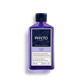 Phyto Violet Σαμπουάν Διατήρησης Χρώματος Για Βαμμ