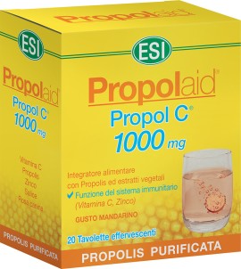 ESI PROPOLAID PROPOL C 1000MG 20 ΑΝΑΒΡΑΖΟΝΤΑ ΔΙΣΚΙ